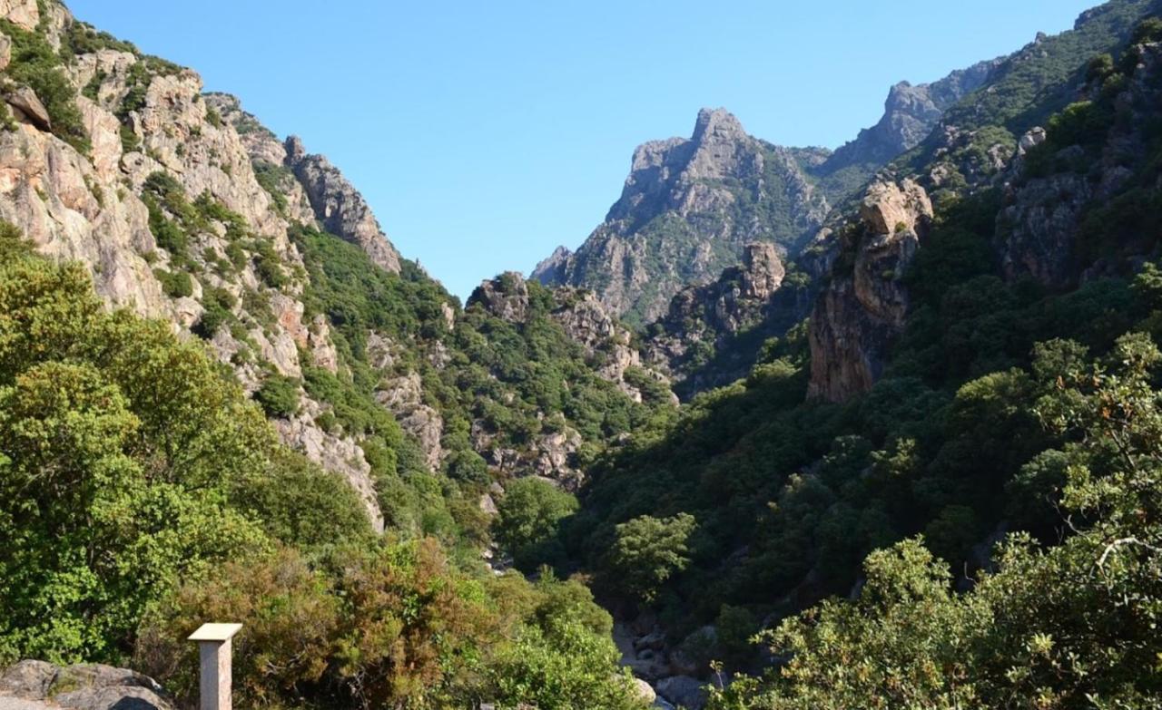 Residence Du Soleil Béziers Dış mekan fotoğraf